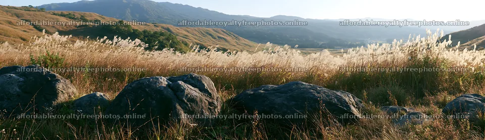 Rewilded Akita silver grass meadow stones with distant – royalty-free photos 14762x4268