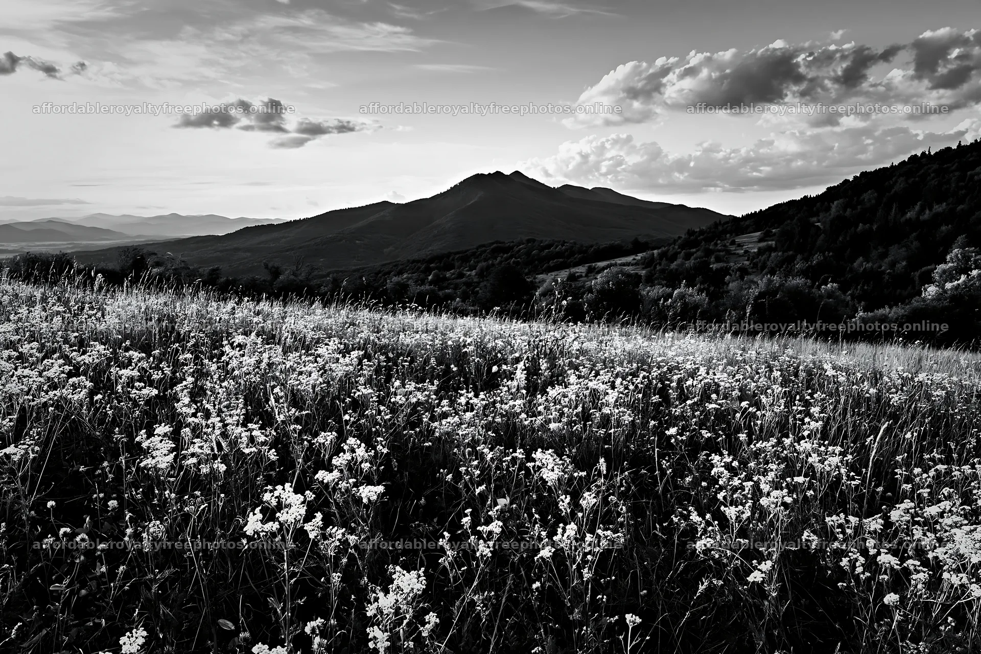 Slovak meadow view across Carpathian valley – royalty-free photos 9722x6480