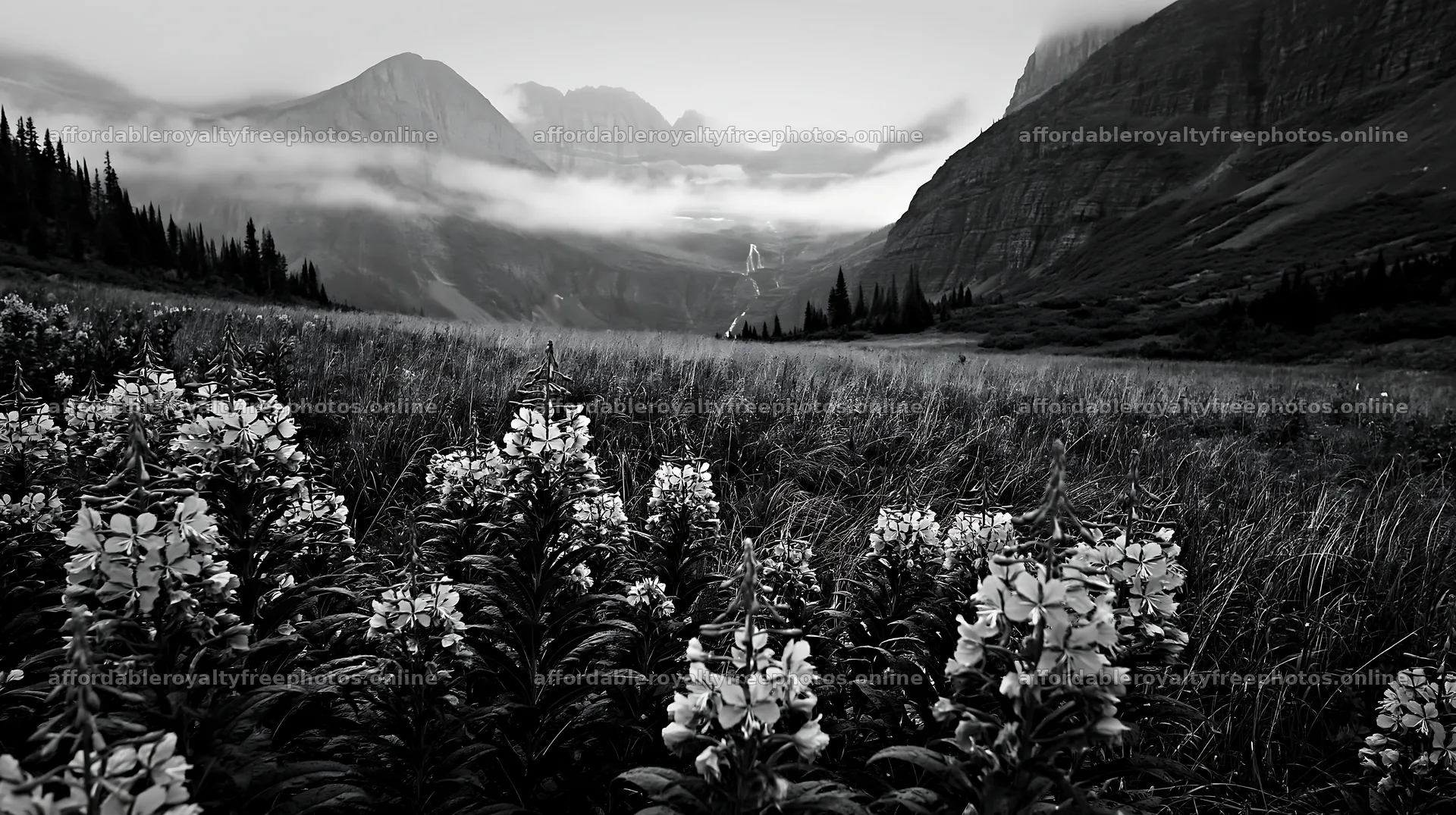 Misty mountain waterfall in a meadow with flowers – royalty-free photos 10608x5938
