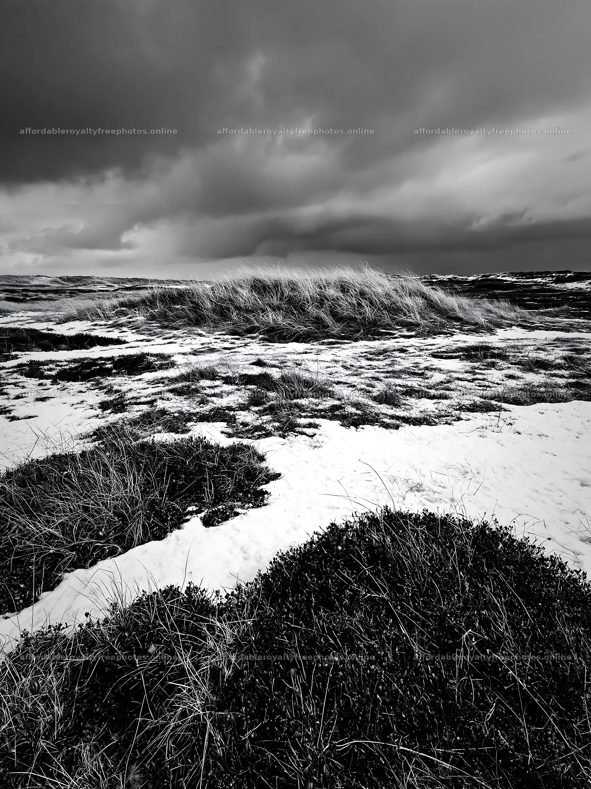 Dune meadow covered with snow under a cloudy sky – royalty-free photos 6866x9174