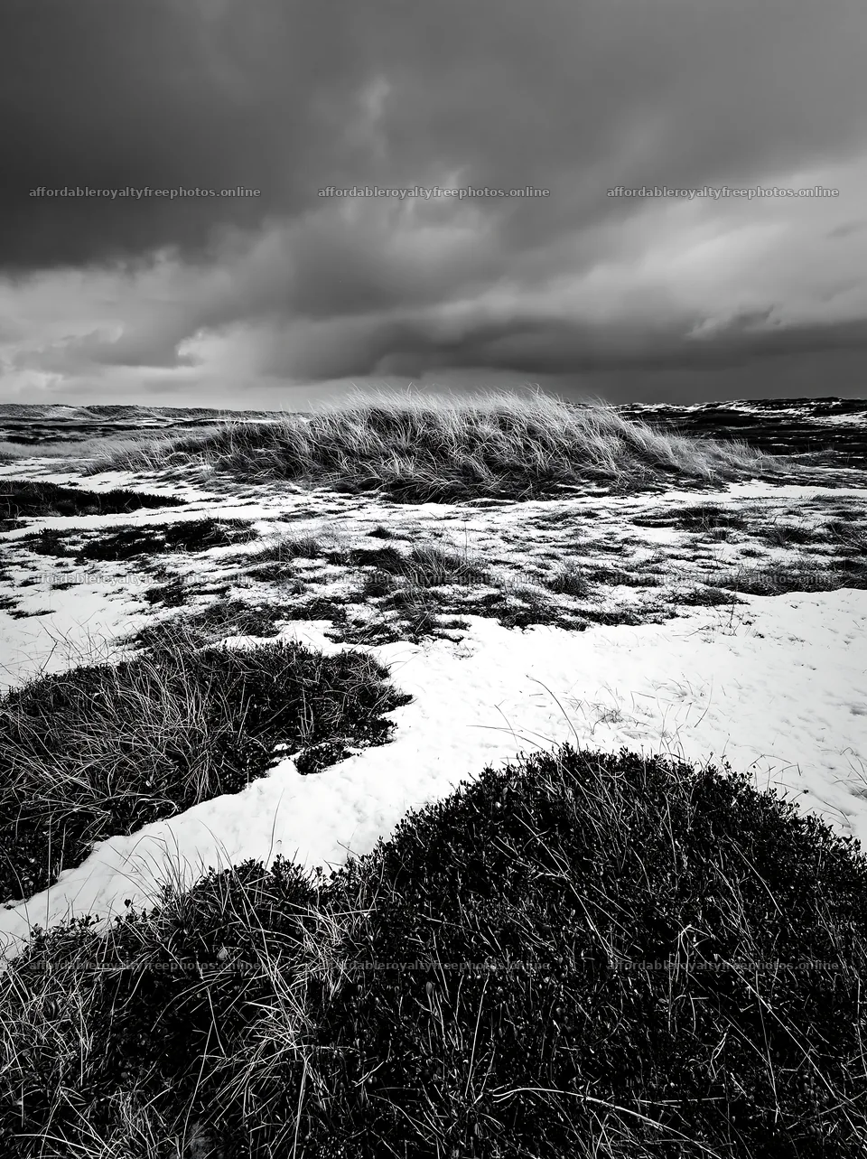 Dune meadow covered with snow under a cloudy sky – royalty-free photos 6866x9174
