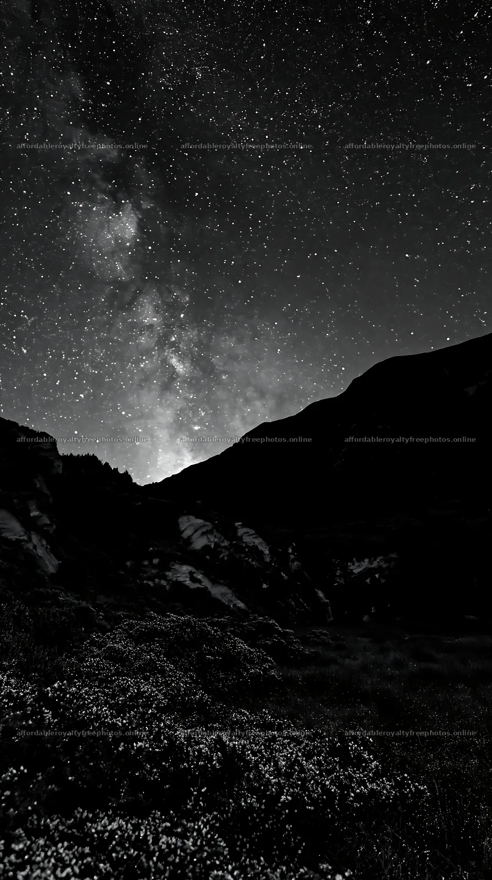 Star-filled meadow against dark mountain silhouette – royalty-free photos 5938x10608
