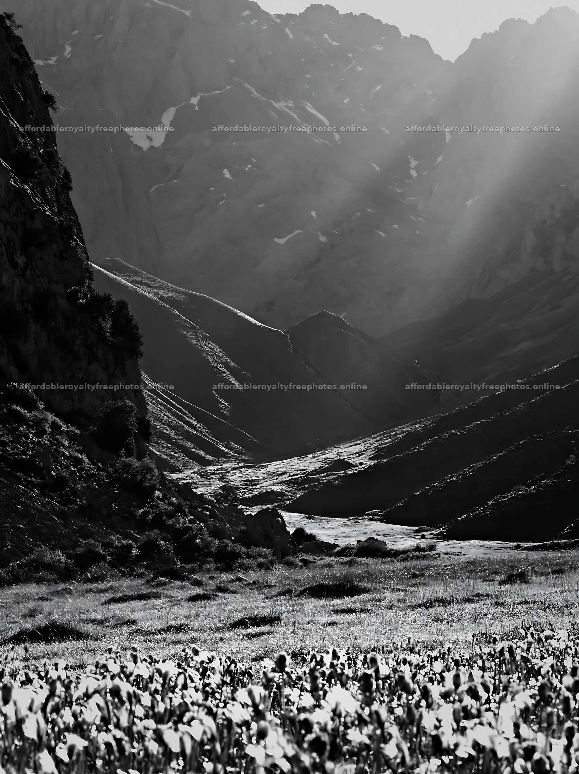 Sunrays in Picos de Europa meadow with mountain backdrop – royalty-free photos 6866x9174