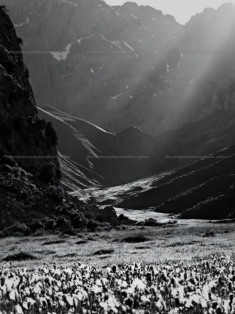 Sunrays in Picos de Europa meadow with mountain backdrop – royalty-free photos 6866x9174