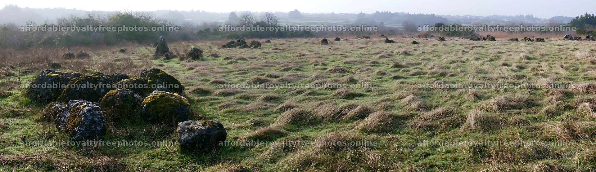 Miyagi spring recovery meadow mossy stone – royalty-free photos 14762x4268