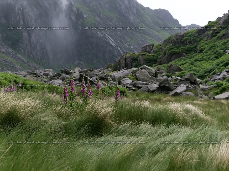 Meadow with flowers and rocks under crags in a – royalty-free photos 9174x6866