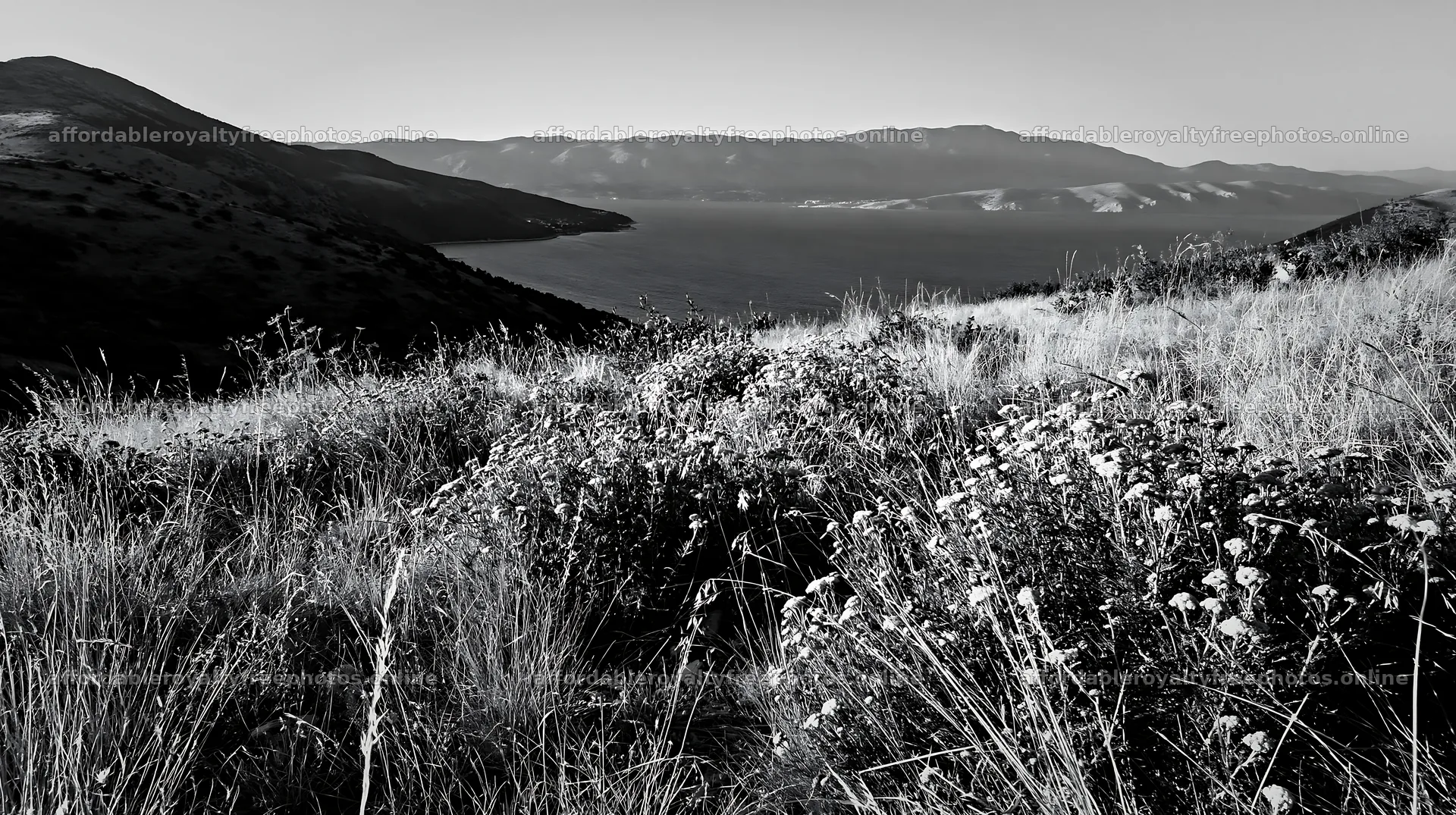 Croatian meadow above Adriatic coast with distant – royalty-free photos 10608x5938