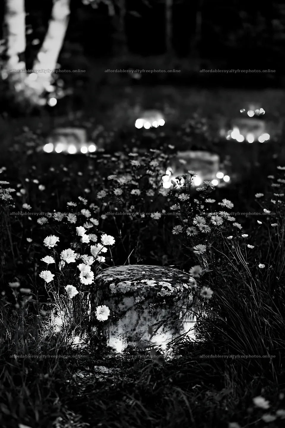 Vibrant meadow with glowing lights at dusk – royalty-free photos 6480x9722