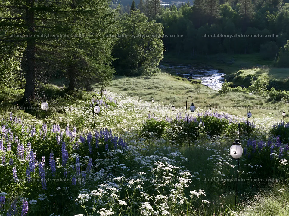 Christmas lanterns in mountain valley meadow during – royalty-free photos 9174x6866