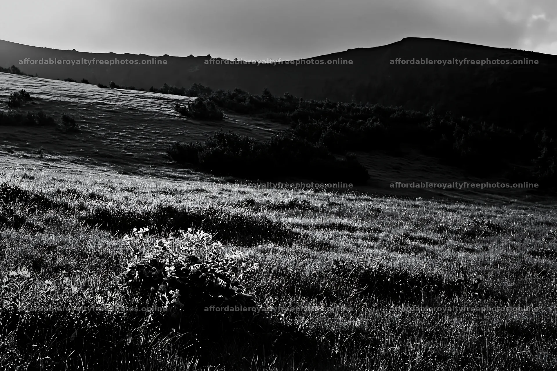 Dewy meadow under a cloudy sky with rolling hills – royalty-free photos 9722x6480