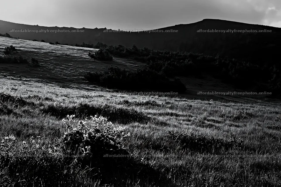Dewy meadow under a cloudy sky with rolling hills – royalty-free photos 9722x6480