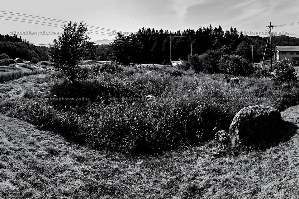 Aomori climate resilient meadow with boulder – royalty-free photos 9722x6480