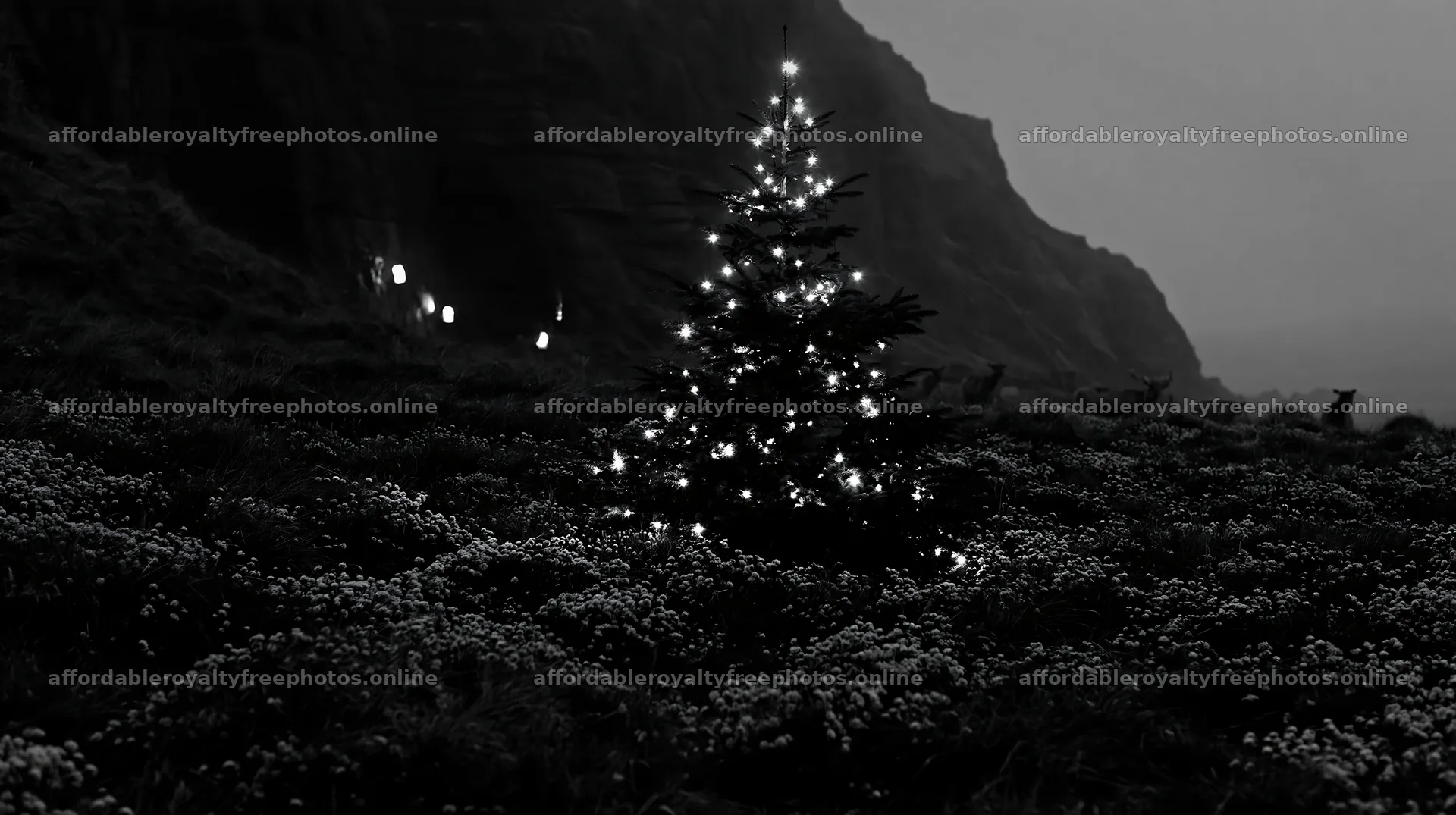 Christmas tree in meadow at dusk by cave – royalty-free photos 10608x5938