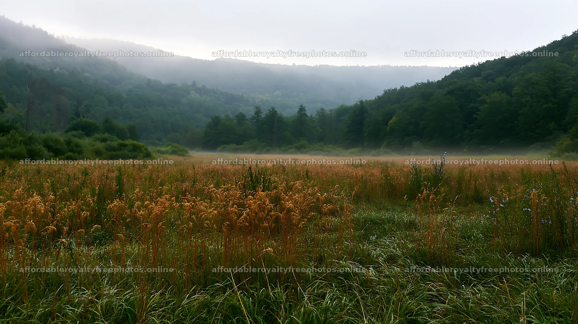 Hungarian meadow with mist along wooded valley – royalty-free photos 10608x5938
