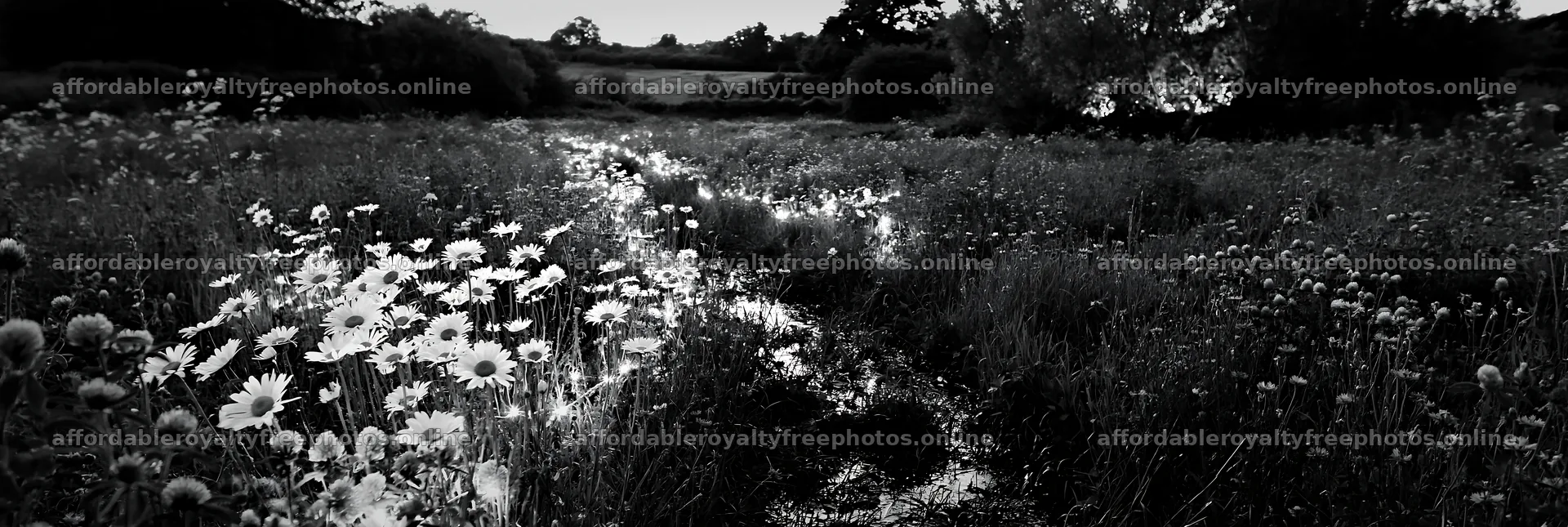 Christmas lights beside stream in meadow at dusk – royalty-free photos 13690x4602