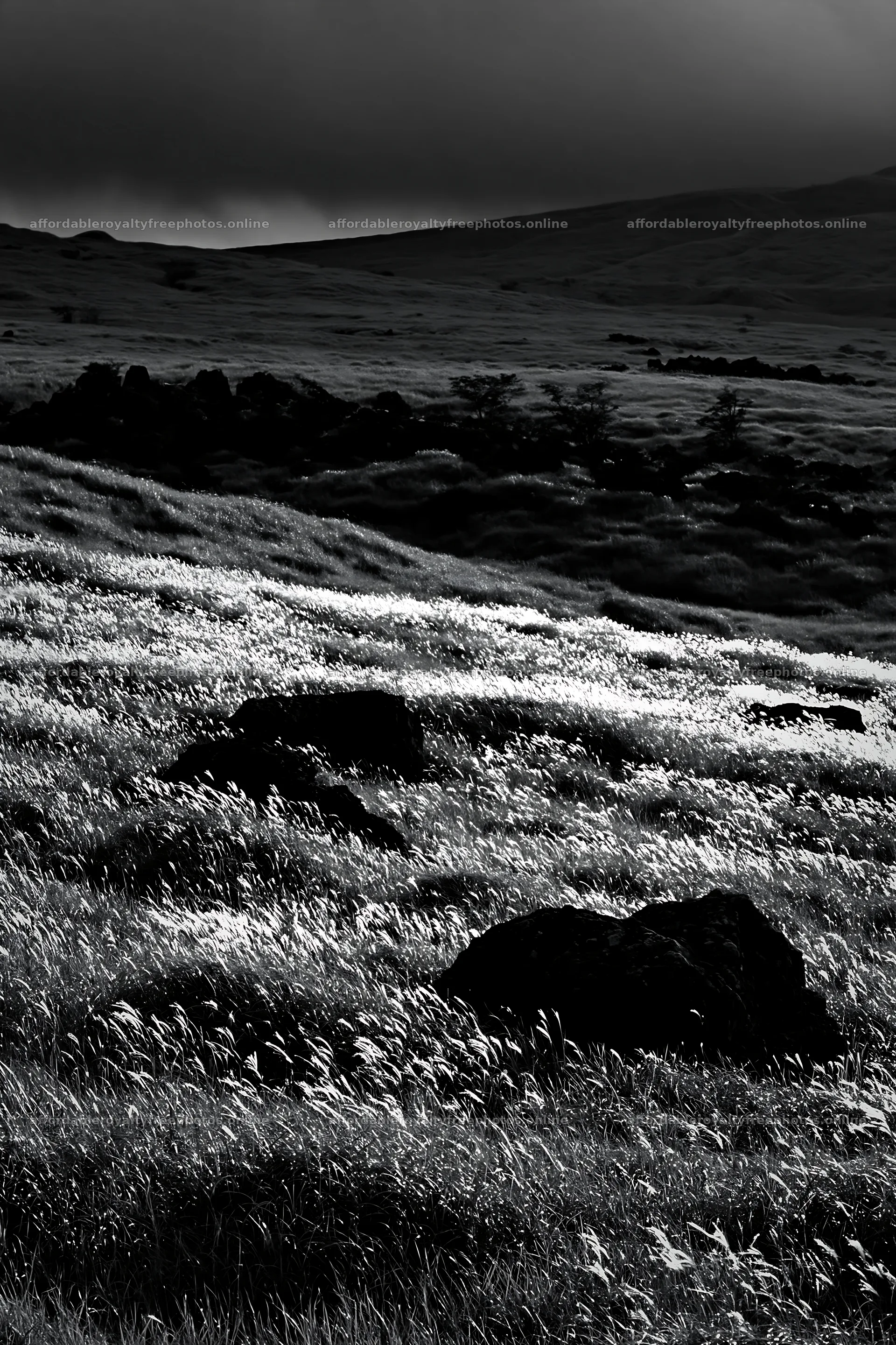 Restored Kumamoto silver grass meadow with boulders – royalty-free photos 6480x9722