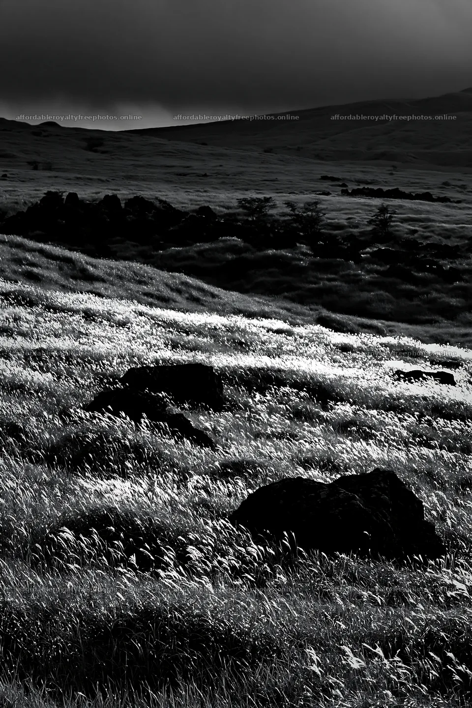 Restored Kumamoto silver grass meadow with boulders – royalty-free photos 6480x9722