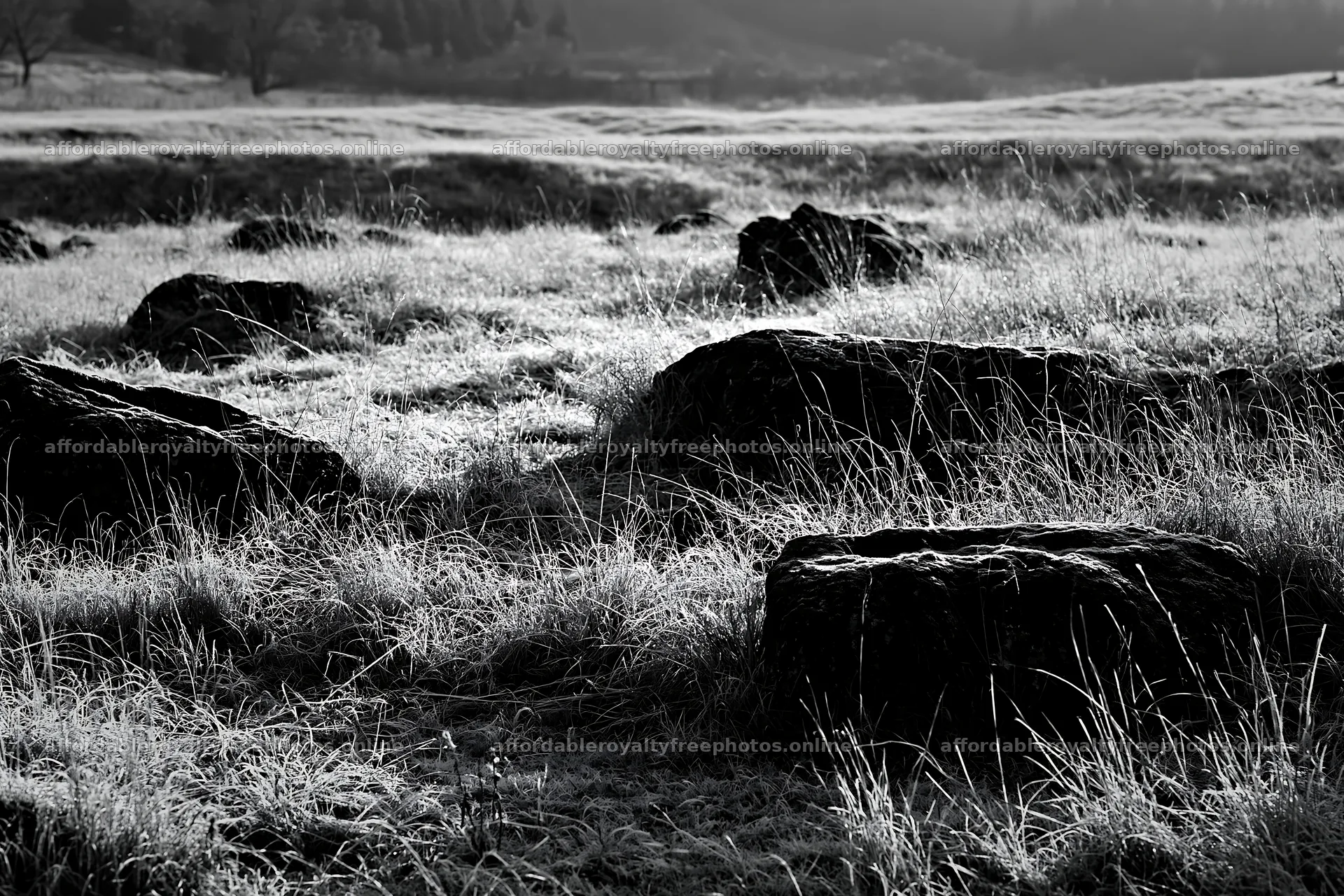 Basalt stones in a Yamanashi meadow at dawn – royalty-free photos 9722x6480