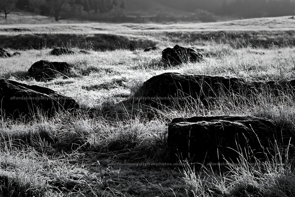 Basalt stones in a Yamanashi meadow at dawn – royalty-free photos 9722x6480