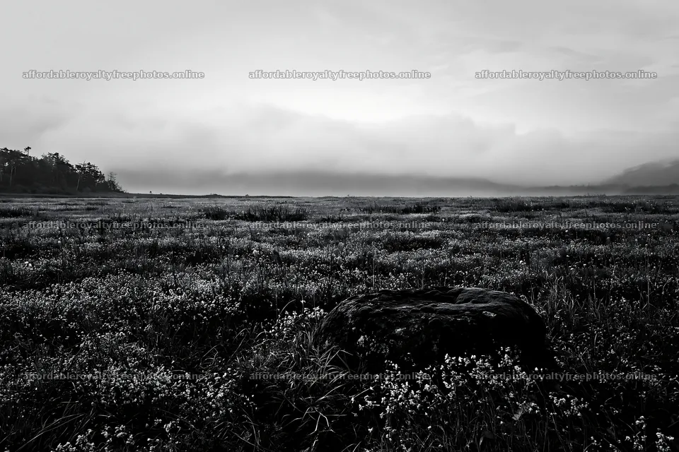 Miyagi spring recovery meadow mossy stone surrounded by – royalty-free photos 9722x6480