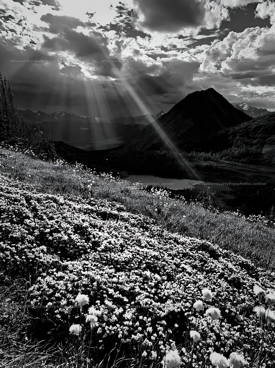 Light rays shine over Sunshine Meadows in Banff – royalty-free photos 6866x9174