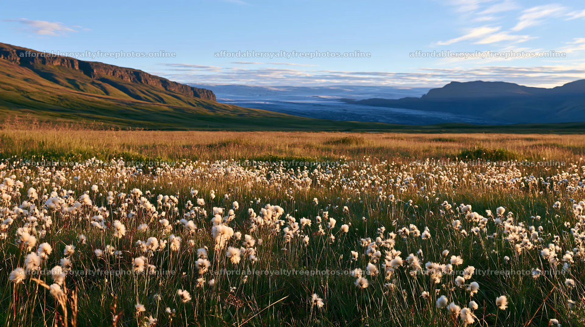 Meadow filled with grass seedheads against a mountain – royalty-free photos 10608x5938