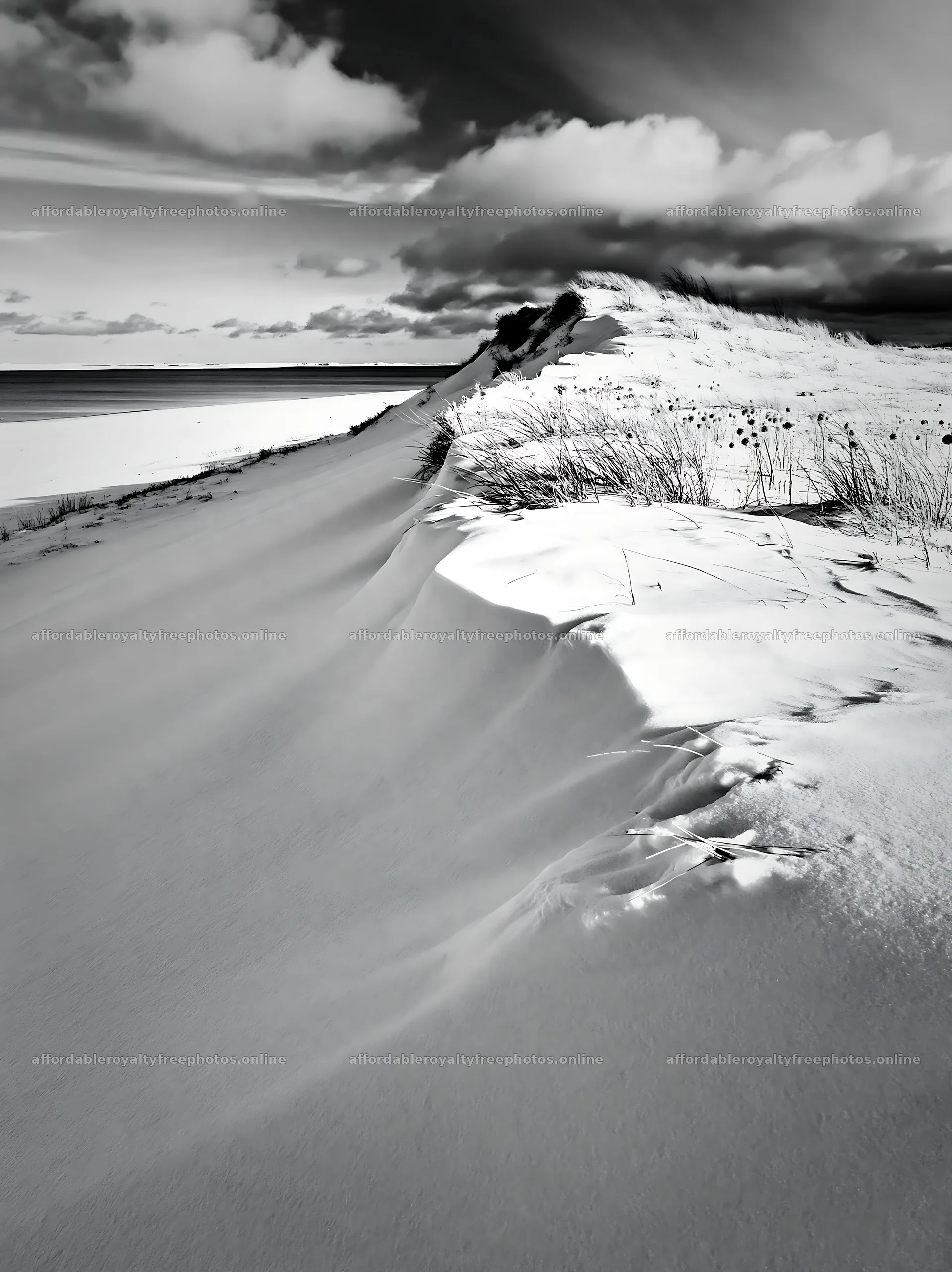 Dune meadow covered in snow by the water – royalty-free photos 6866x9174