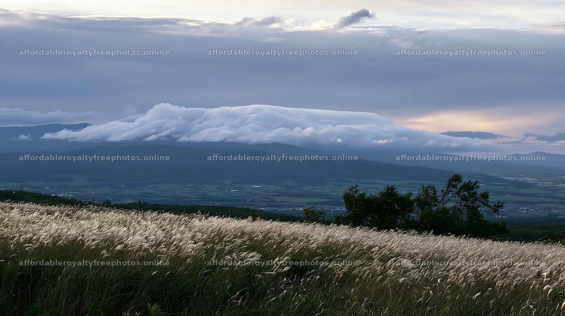 Hokkaido silver grass meadow with clouds in background – royalty-free photos 10608x5938