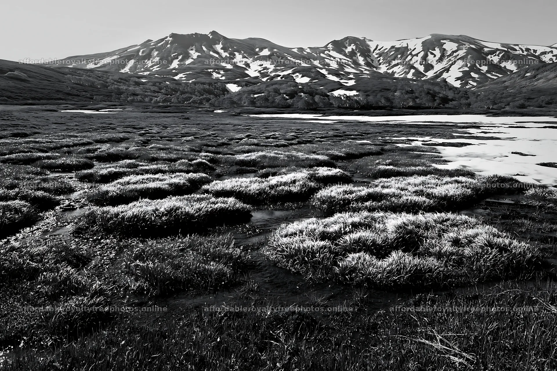 Akita meadow with silver grasses and snowmelt – royalty-free photos 9722x6480