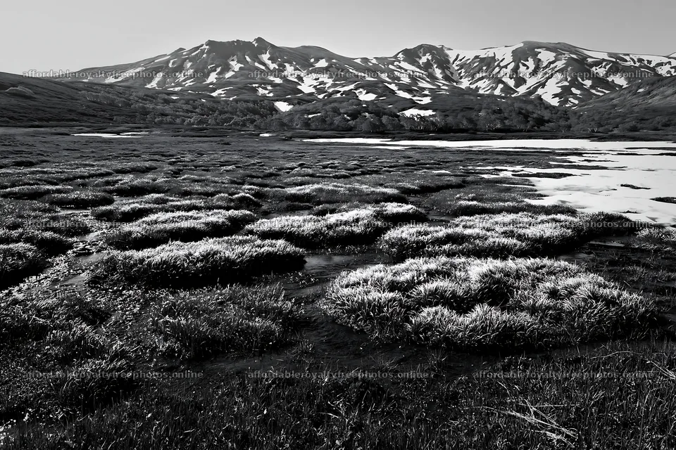 Akita meadow with silver grasses and snowmelt – royalty-free photos 9722x6480