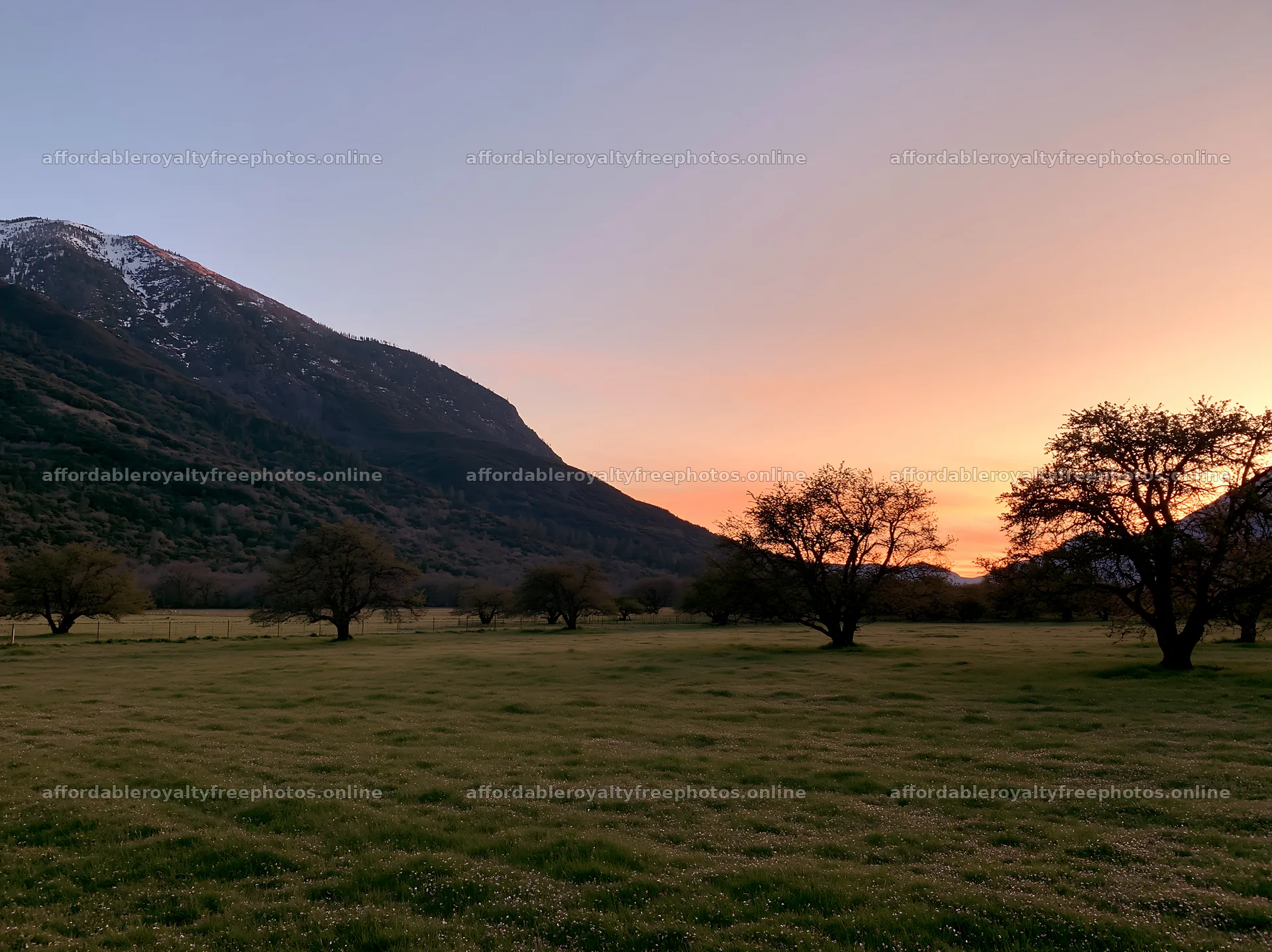 Valley apple meadow with mountains and sunset sky – royalty-free photos 9174x6866