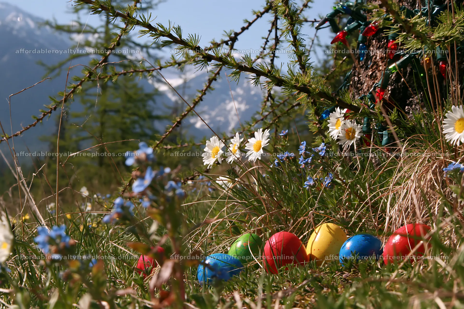 Christmas decorations beside tree in mountain valley – royalty-free photos 9722x6480
