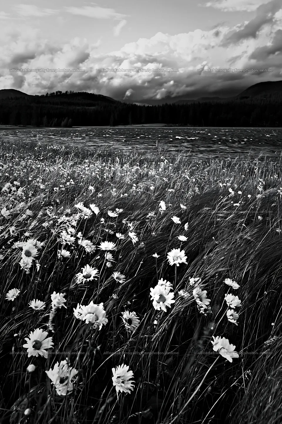 Lakeside orchard meadow with wildflowers and flowing – royalty-free photos 6480x9722