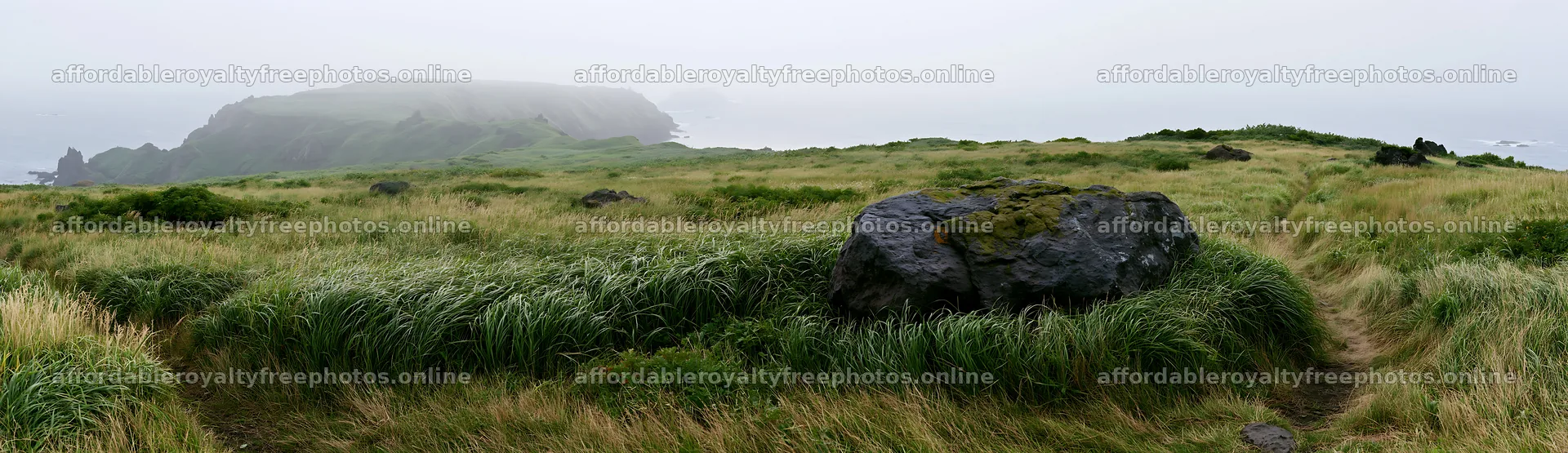 Aomori climate resilient meadow with boulder in a green – royalty-free photos 14762x4268