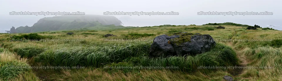 Aomori climate resilient meadow with boulder in a green – royalty-free photos 14762x4268