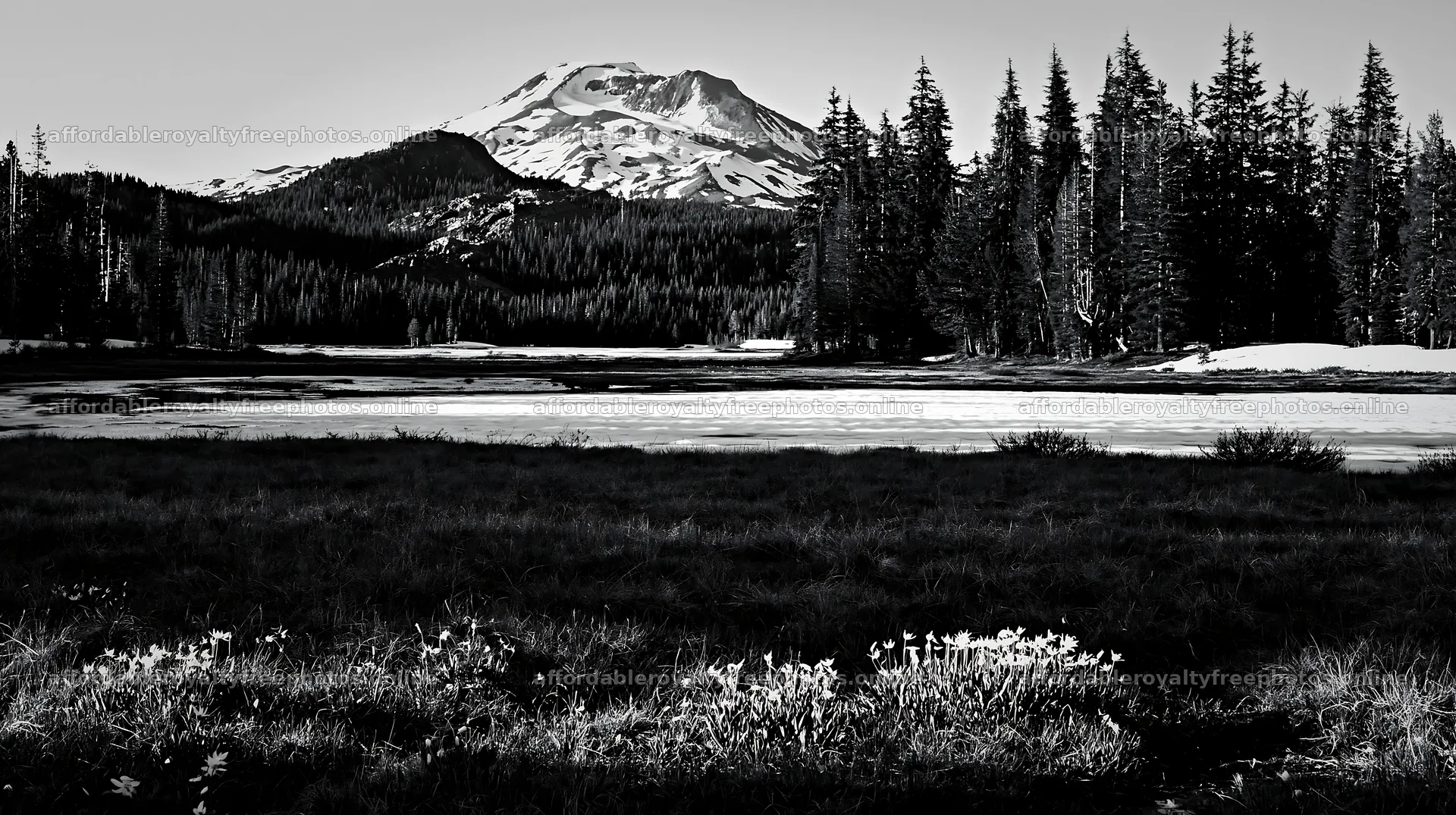 Snowmelt meadow with mountain in the background – royalty-free photos 10608x5938