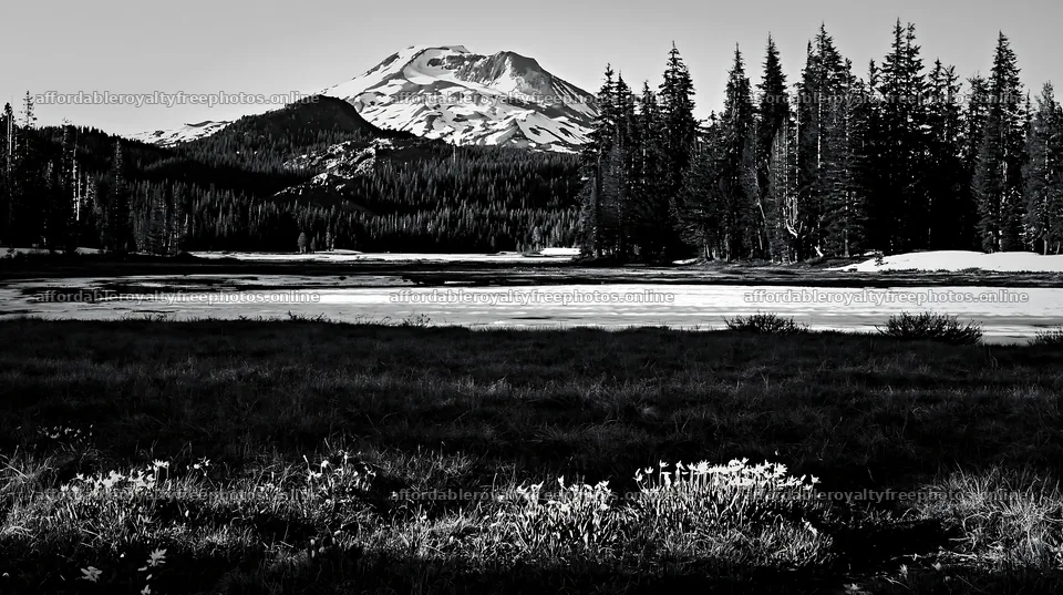 Snowmelt meadow with mountain in the background – royalty-free photos 10608x5938