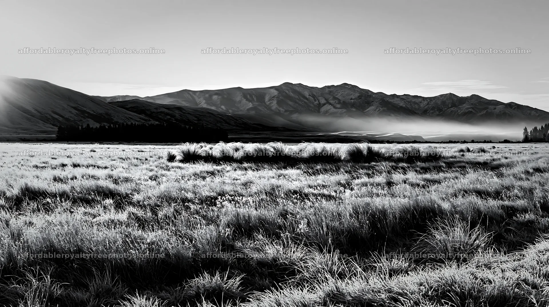 Frosty meadow at sunrise with mountains in the background – royalty-free photos 10608x5938