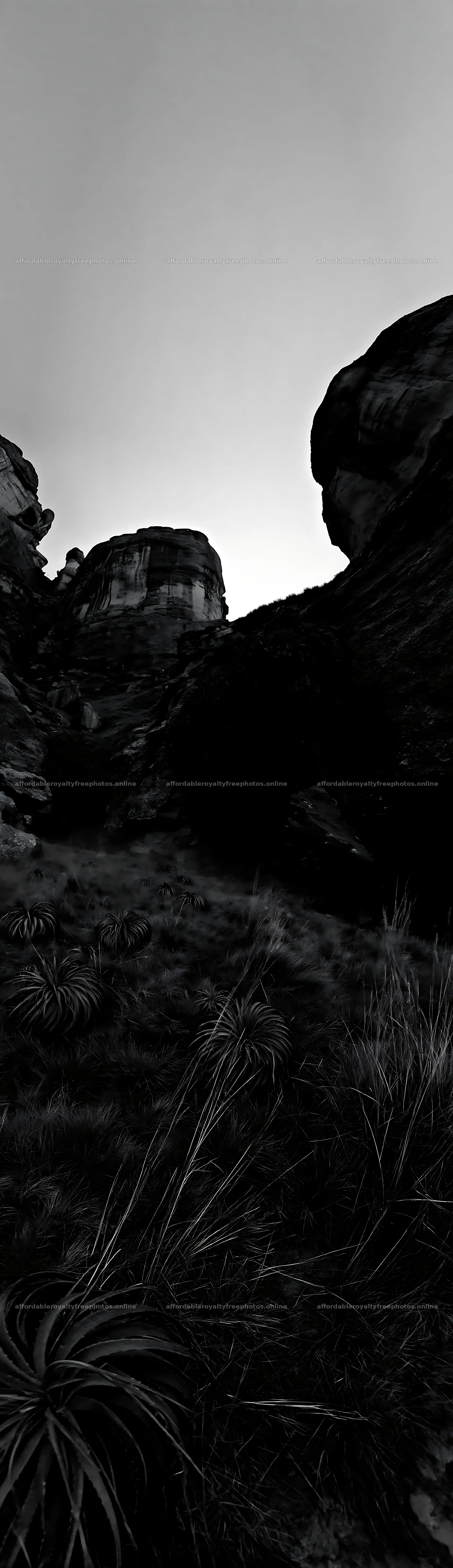 Moonlit meadow with rocky formations and grasses – royalty-free photos 4268x14762