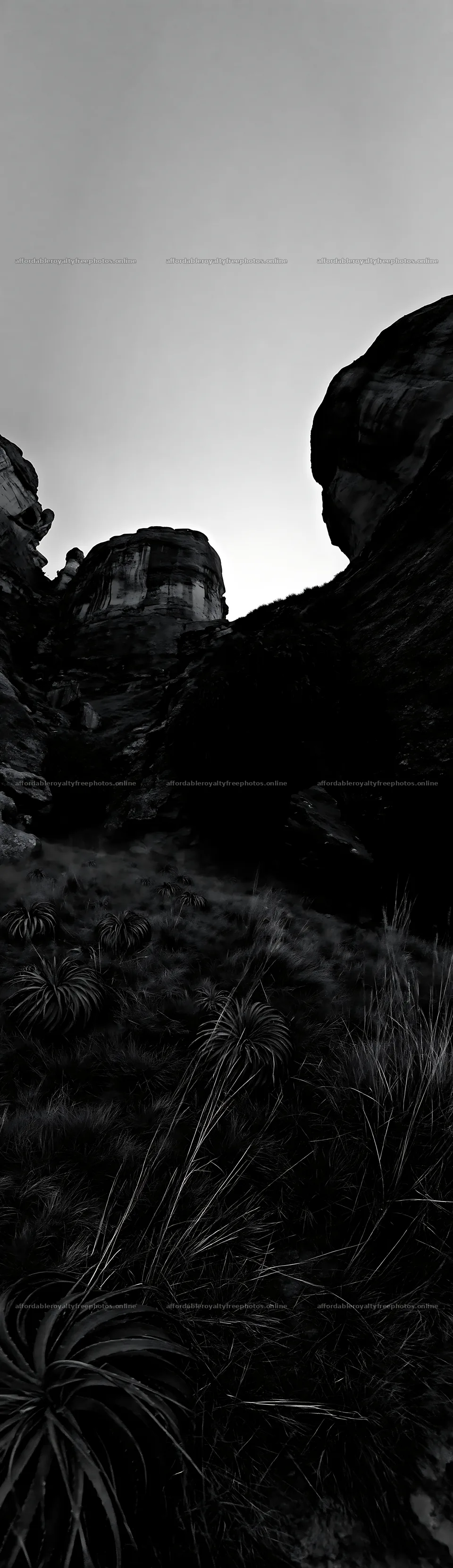 Moonlit meadow with rocky formations and grasses – royalty-free photos 4268x14762