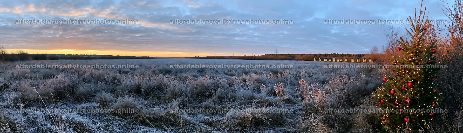 Vast Christmas meadow with frost seedheads and lanterns – royalty-free photos 14762x4268