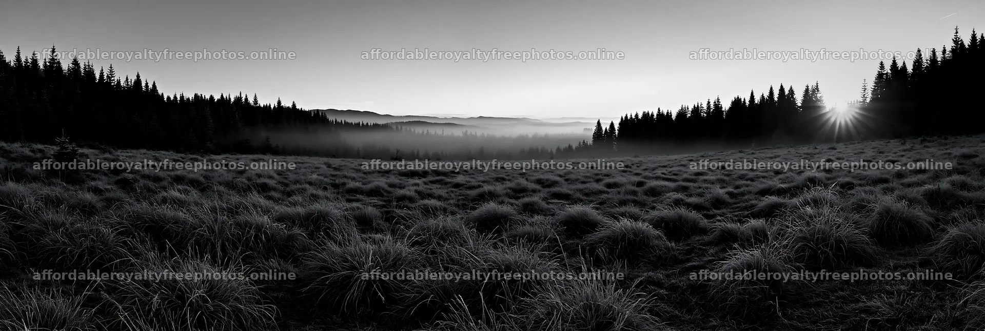 Frosty meadow at sunrise with trees in the background – royalty-free photos 13690x4602