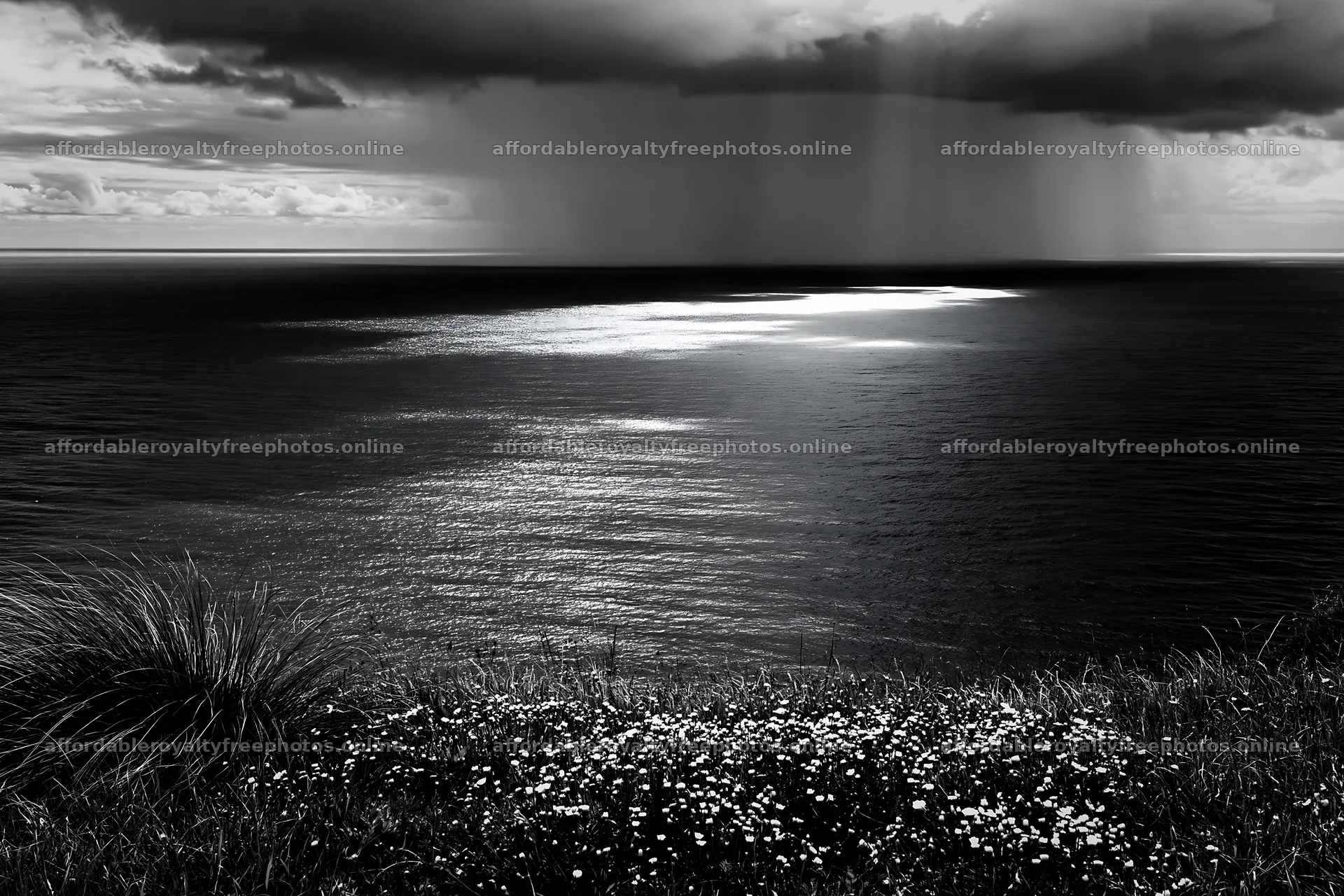 Coastal meadow cliffs under dark clouds and distant rain – royalty-free photos 9722x6480