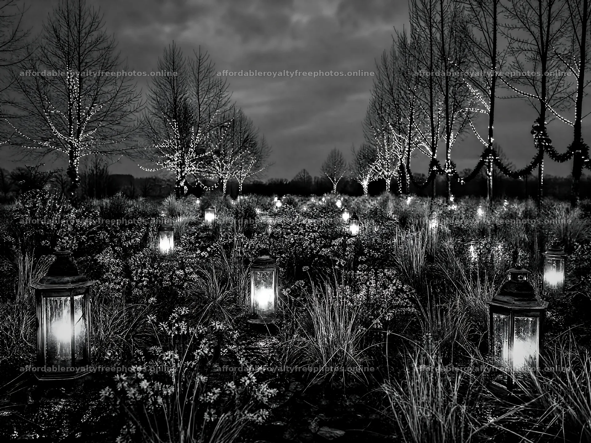 Vibrant Christmas lanterns in a winter meadow setting – royalty-free photos 9166x6874