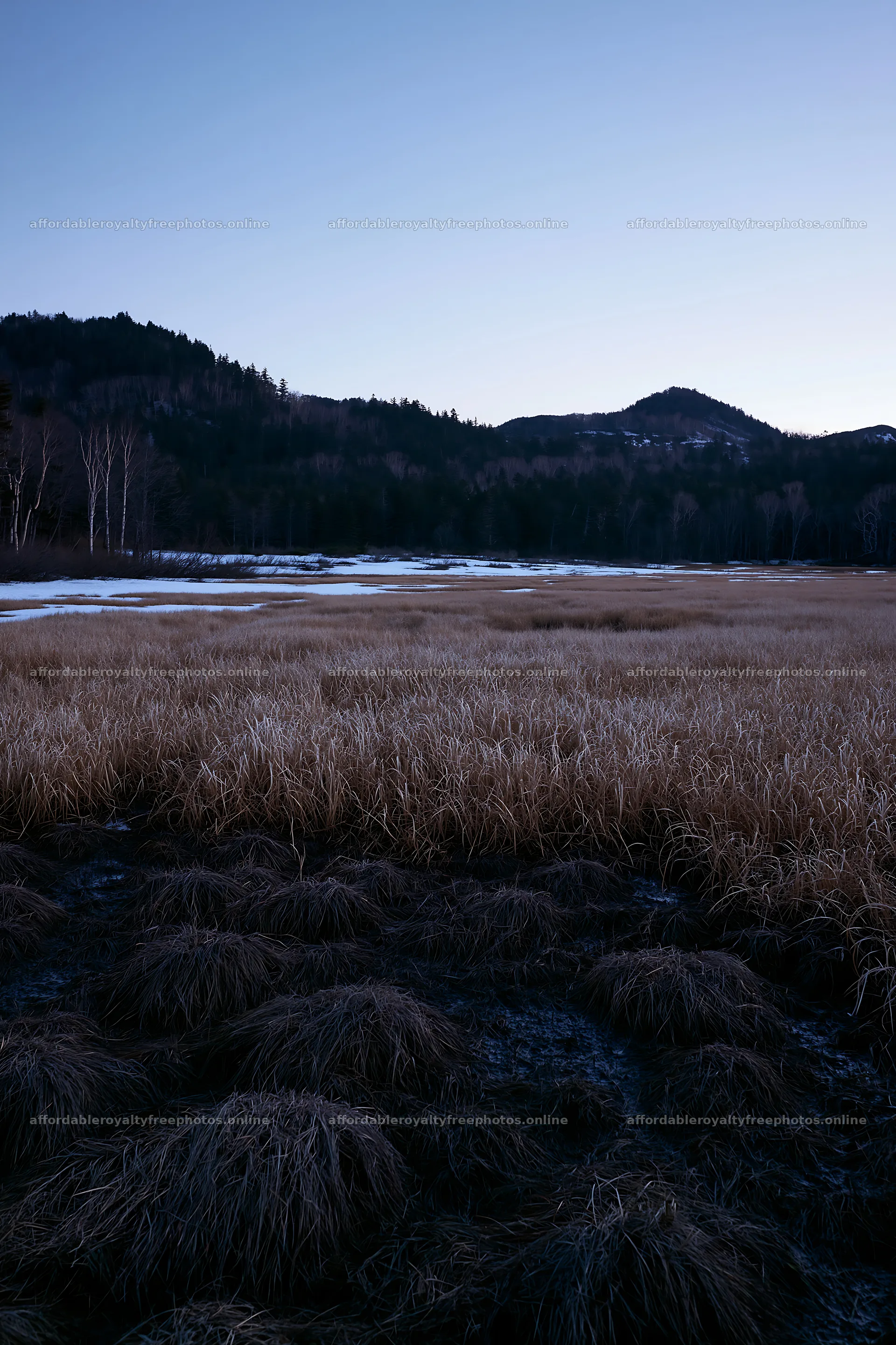 Akita snowmelt meadow with silver grasses – royalty-free photos 6480x9722